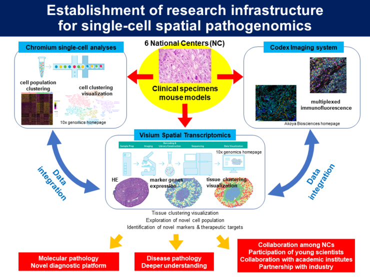 Establishment of research infrastructure for single-cell spatial pathogenomics