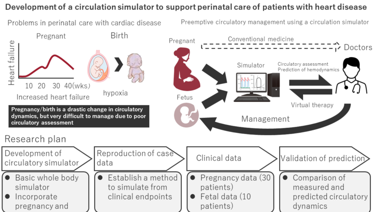 Development of a circulation simulator to support perinatal care of patients with heart disease cardiac complications, from pregnant women to fetuses?