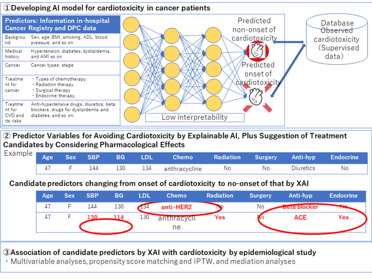 Treatment Candidates to Avoid Cardiotoxicity from Cancer Therapy by Explainable AI