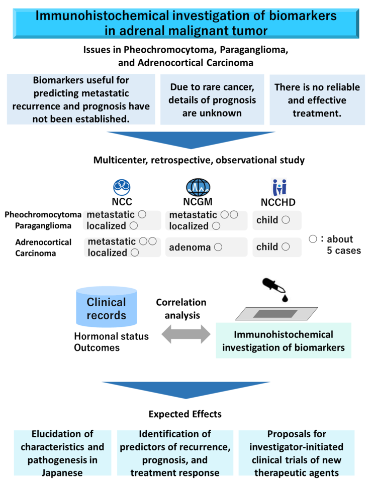 Immunohistochemical investigation of biomarkers in adrenal malignant tumor
