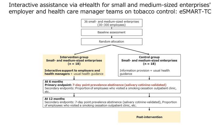 Interactive assistance via eHealth for small and medium-sized enterprises' employer and health care manager teams on tobacco control eSMART-TC.JPG