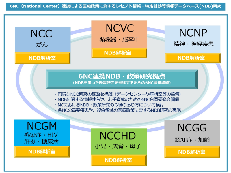 6NC連携による医療政策研究等を目的としたNDB研究体制構築のための研究