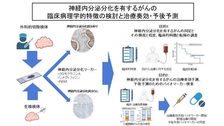 schema_japanese.jpg