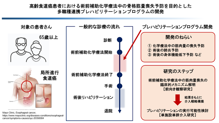 研究のイメージ図