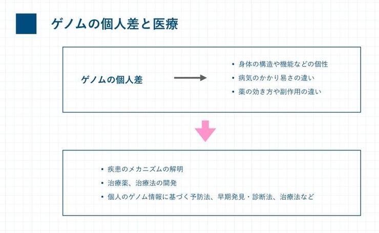 ゲノムの個人差と医療.jpg